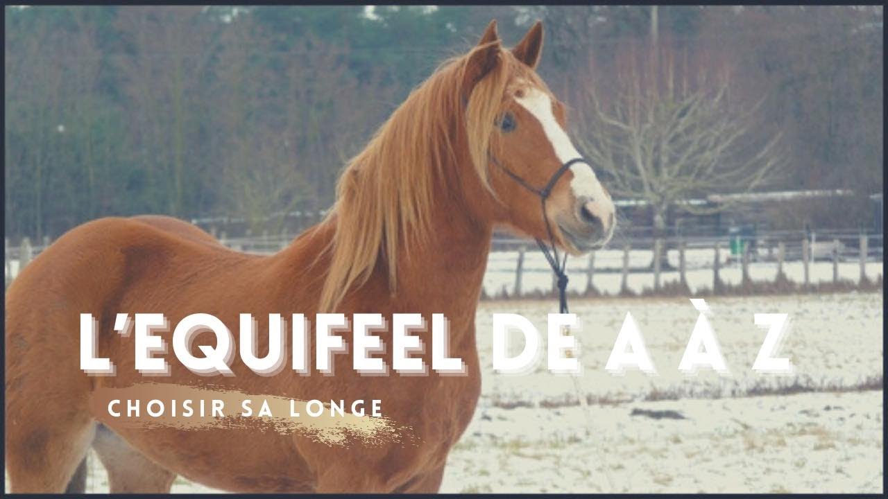 Equifeel: Choisir sa longe