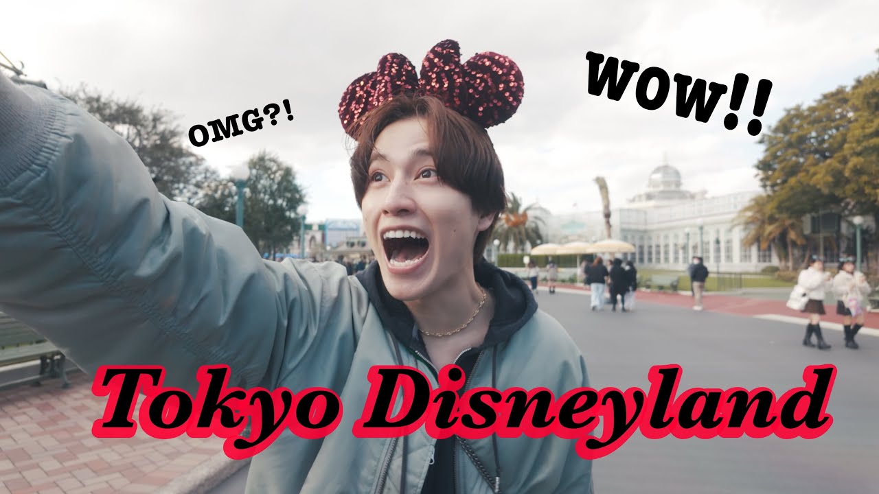 ディズニーランドが良すぎたよって動画