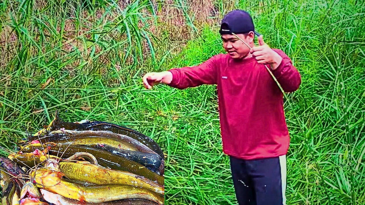MANCING IKAN LEMBAT MONSTER KELAPARAN  DI KEBUN SAWIT TUA!!!