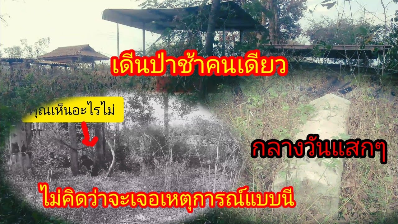 เหตุการณ์ไม่คาดคิดเดีนกลางป่าช้าคนเดียวหลอนมาก17กุมภาพันธ์ คศ 2026