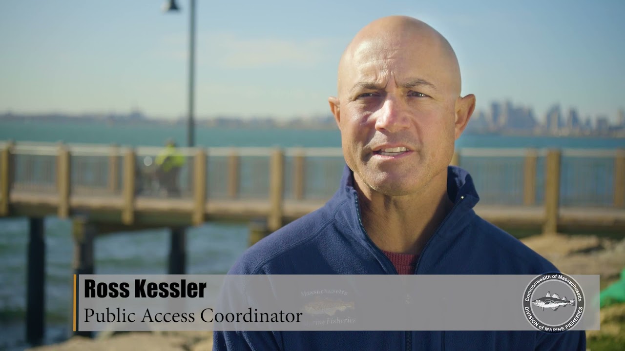 Welcome to Deer Island Pier