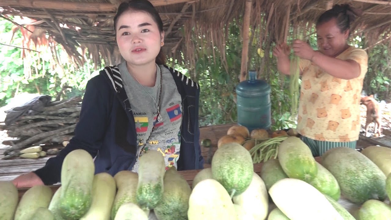 Travel to Sayaboury, Laos Dawm Roog Ntug