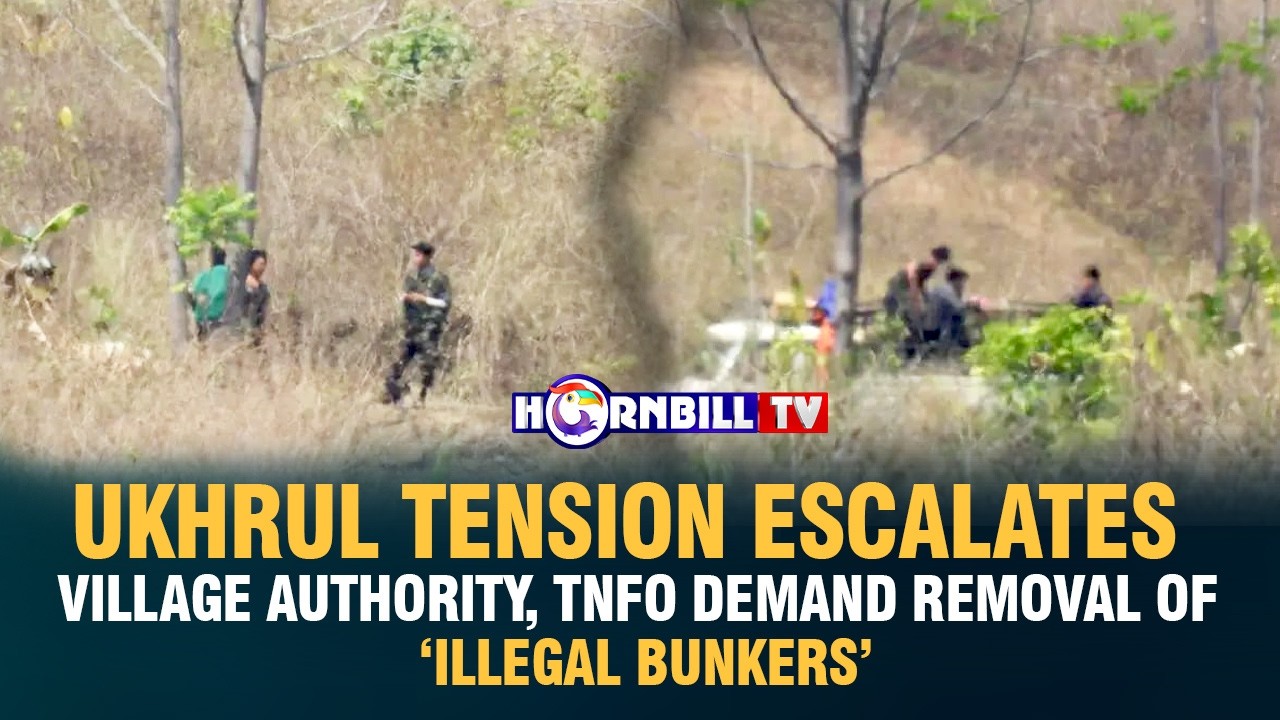 UKRAINE SEEKS RELEASE OF ITS CITIZENS ARRESTED FOR TERROR ACTIVITIES IN NE