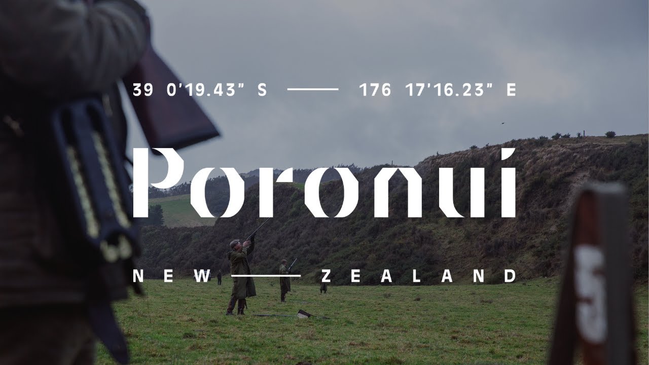 World Class Driven Pheasant at Poronui New Zealand