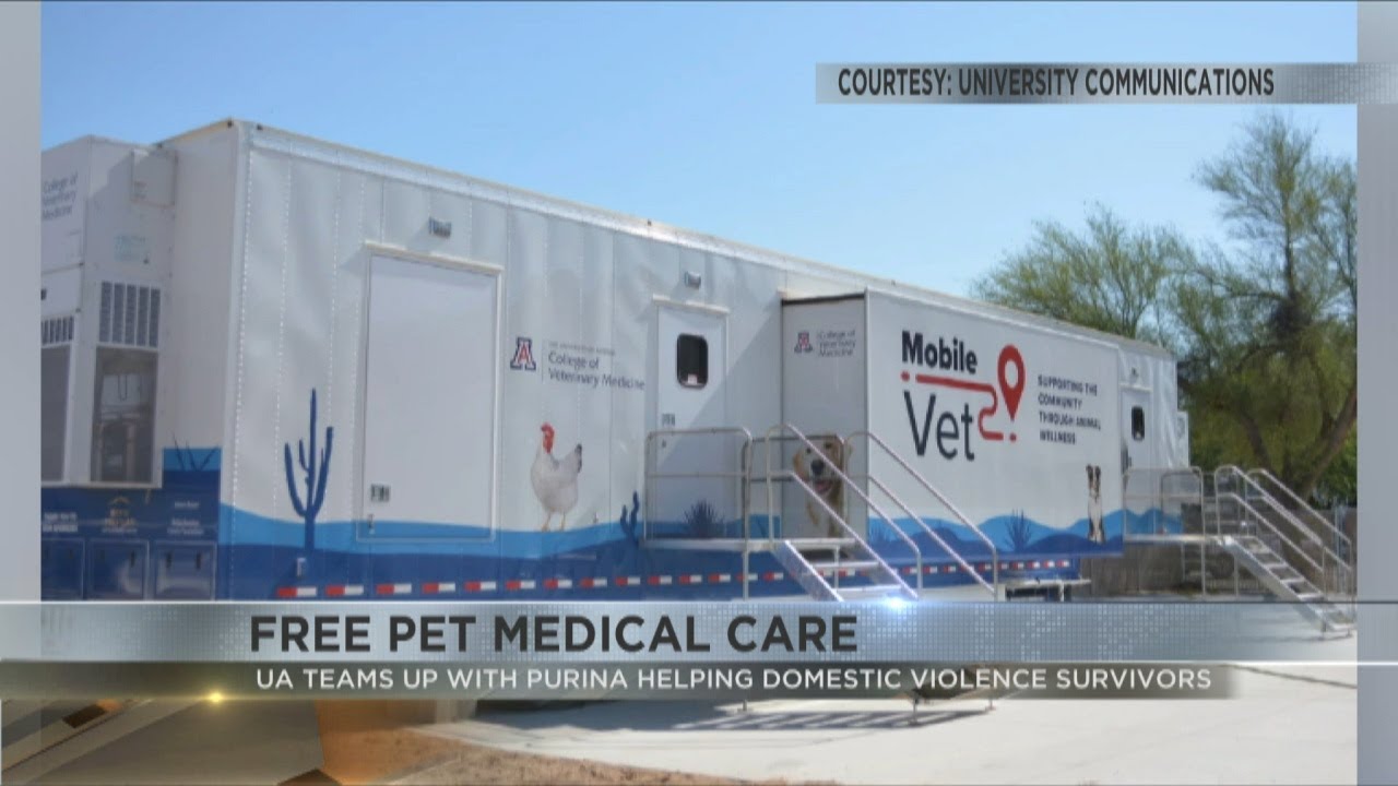 U of A veterinary students teaming up with Purina to help domestic violence survivors and their pets