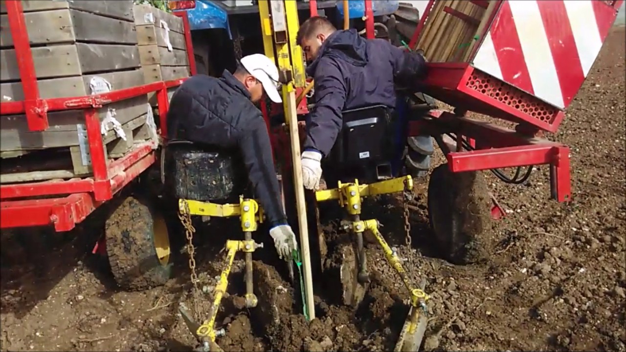 Mechanical planting of almond trees with TerraCottem