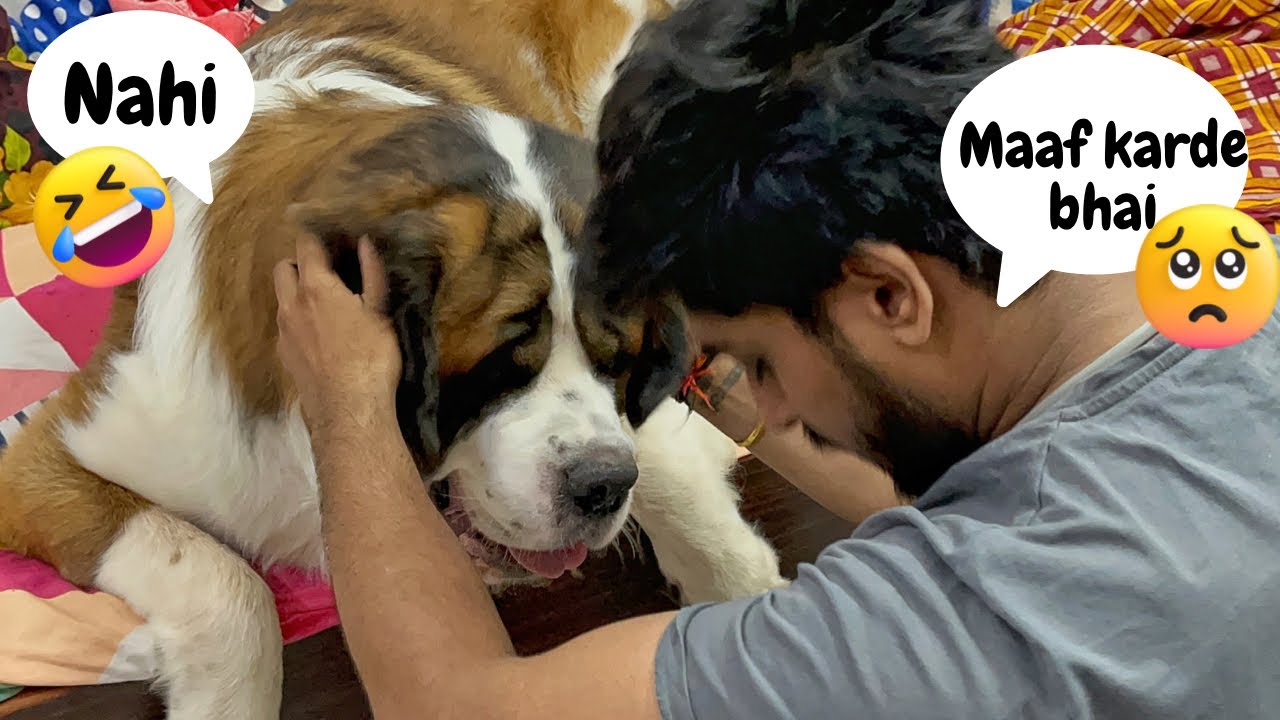 Ye kaisa pyar hai bhai? 😂