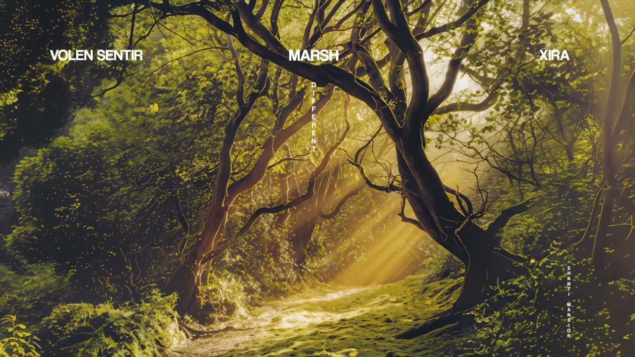 Volen Sentir & Marsh - Different (feat Xira)