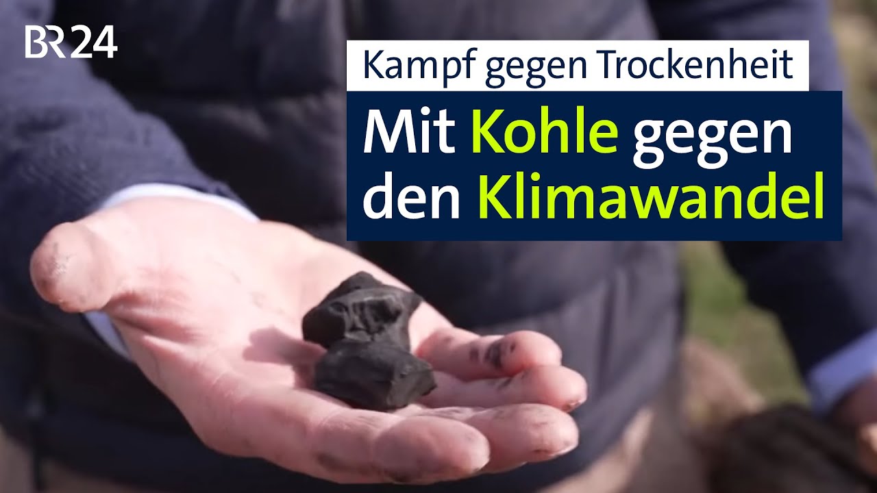 Projekt in Unterfranken: Kohle soll Weinreben vor Trockenheit schützen | BR24