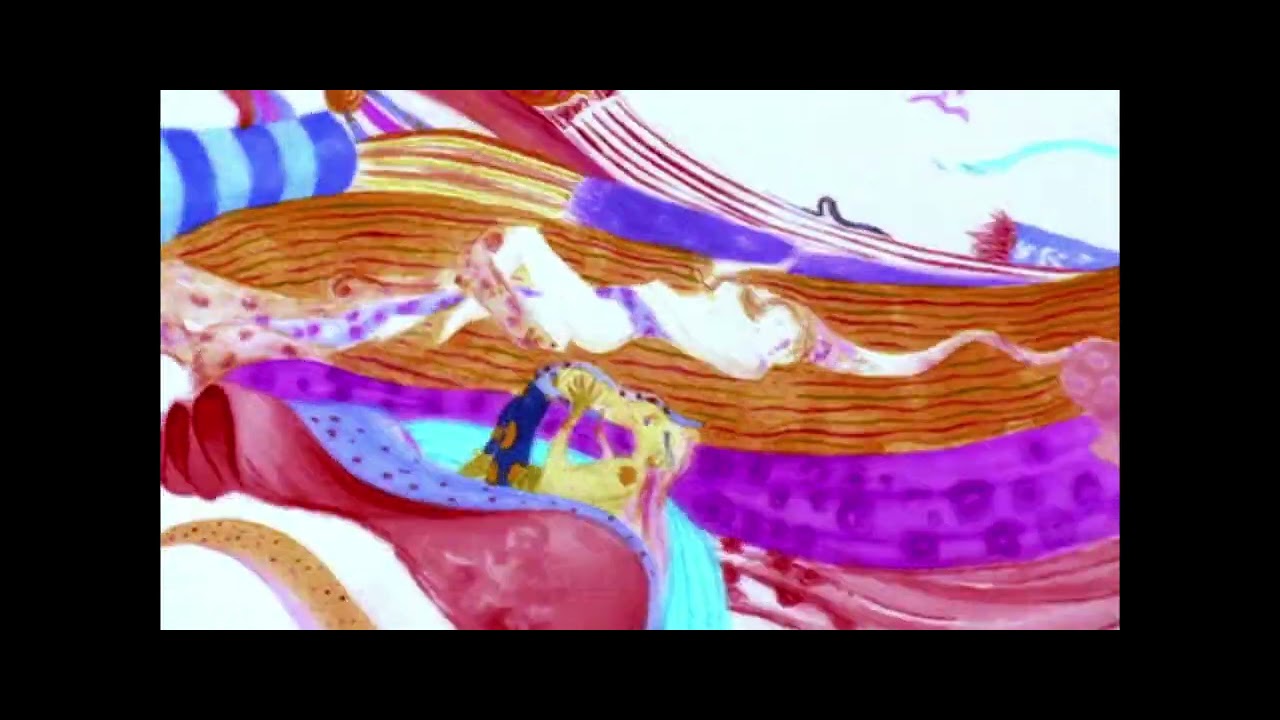 kinetica - port henry {Slowed+Reverb}