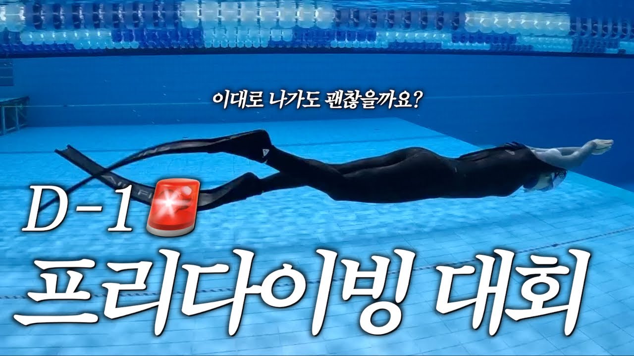 대회 D-1🚨| 프리다이빙 성장기 | 다이나믹 트레이닝 과정 & 꿀팁 대방출