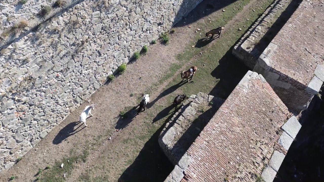 Les habitantes du Fort de Bellegarde