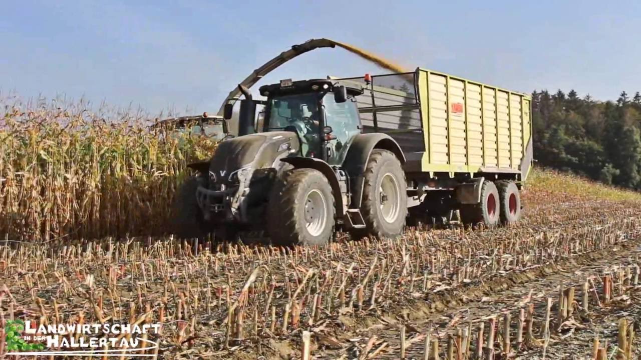 Maishäckseln 2k16 ► HP-Biogas mit 2 Claas Jaguar und 10 Abfahrern *Sound* MB-Trac 1800