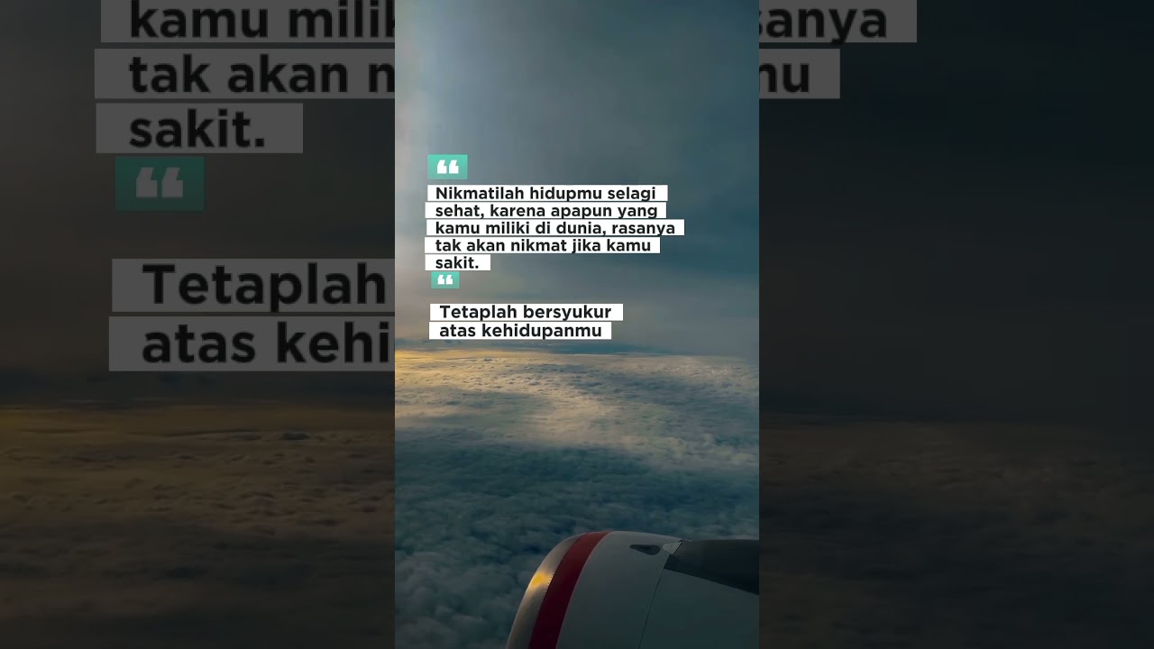 Terbang Bebas, Bersyukur atas Kehidupan 