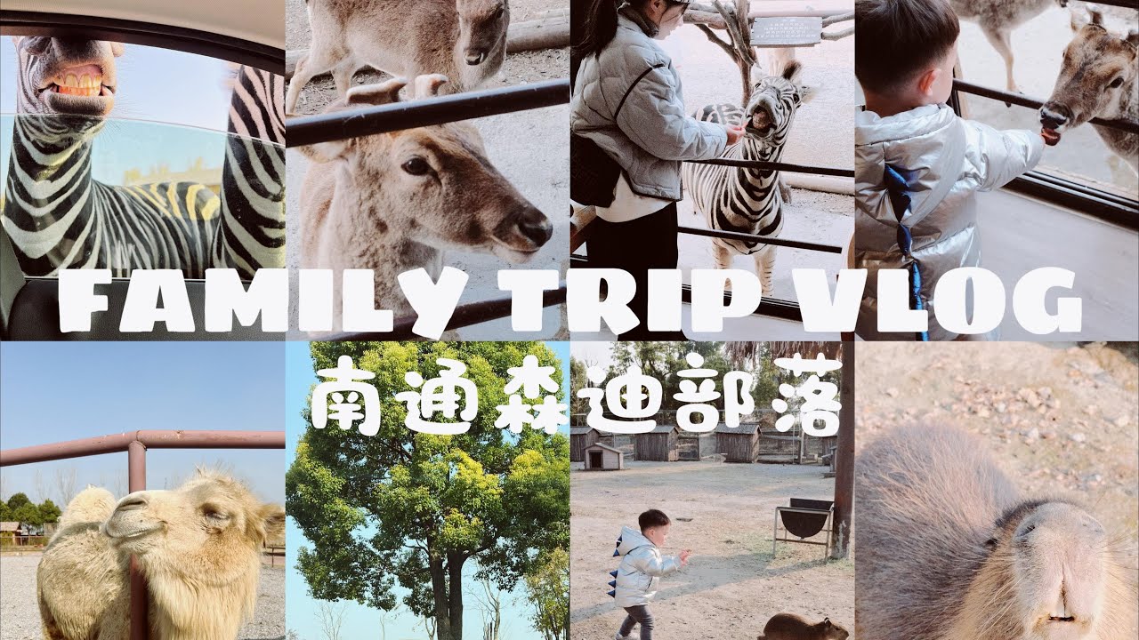 Family Trip|南通森迪部落|卡皮巴拉自由|自驾喂小动物|树屋