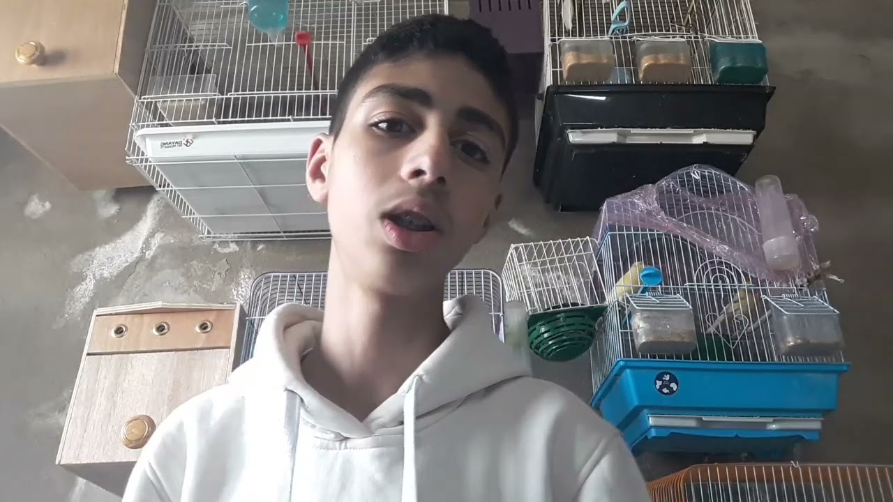 شديت المكان اللي خرجو لي منه الفراخ🐦 وفتح عش الكوكتيل