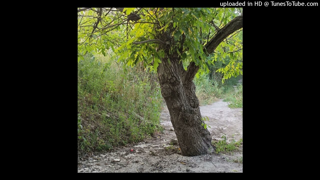 ✫FREE✫ experimental digicore elxnce + kurai + vinso type beat 