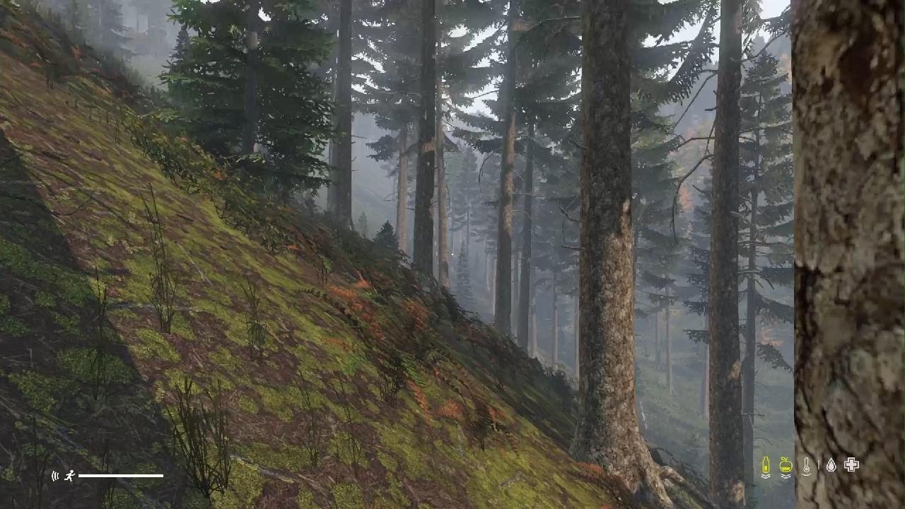 DayZ_20251216165500