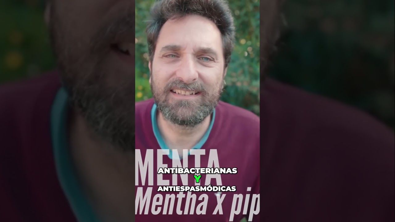 &iexcl;Adi&oacute;s, gastritis! Remedios con menta