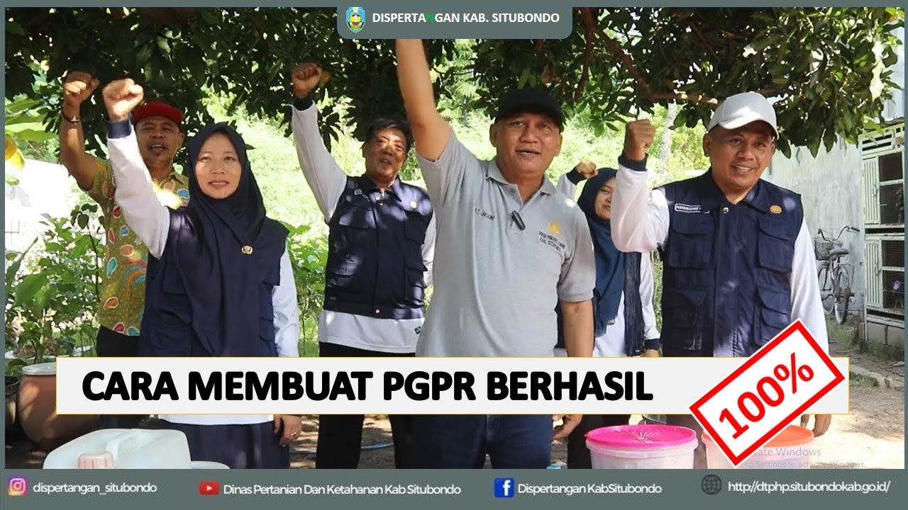 CARA MEMBUAT PGPR (Plant growth-promoting rhizobacteria) BAKTERI PEMACU PERTUMBUHAN TANAMAN