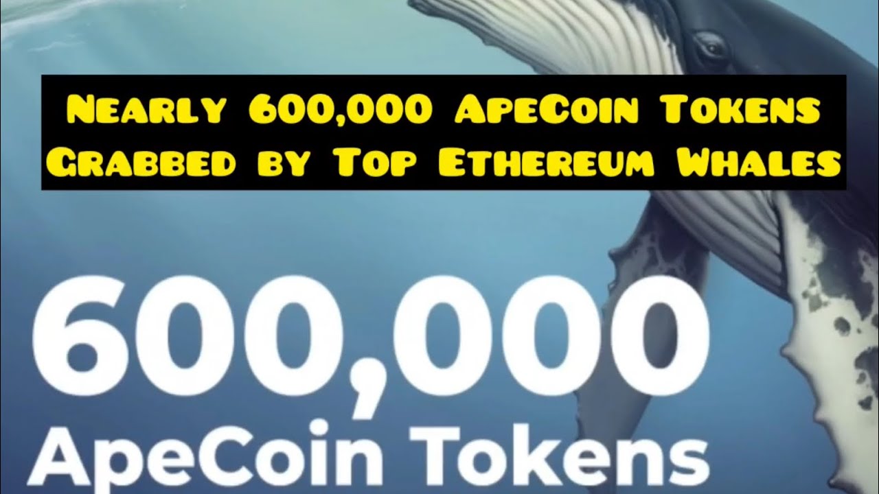 Nearly 600,000 ApeCoin Tokens Grabbed by Top Ethereum Whales: Details