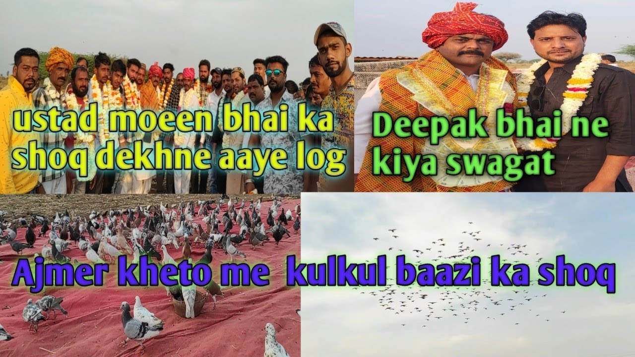 ustad moeen bhai ne Ajmer ke kheto me khole 400 kabutar || Ajmer 400 kabutaro ki kulkul baje ||