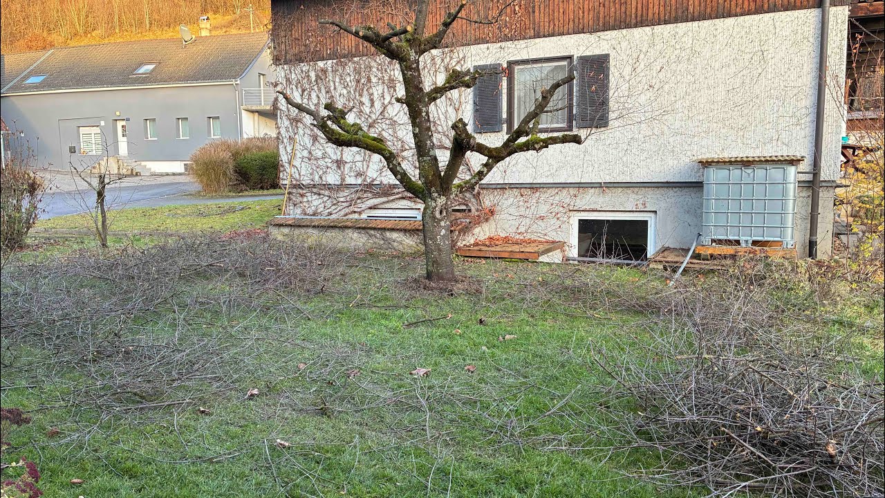 Live bei der Gartenarbeit (Holz kleinmachen zum heizen) Part 2