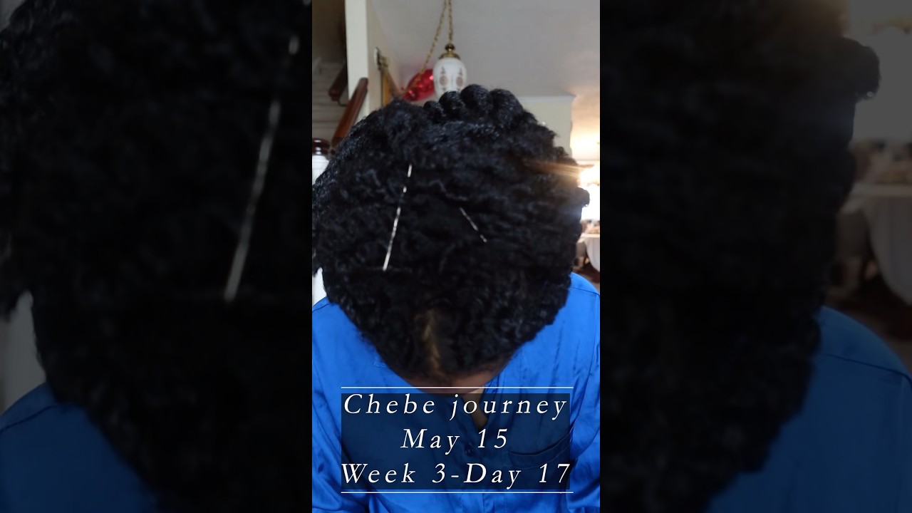 Chebe journey. Week 3 Day 17. Easy #headwrap style. #naturalhaircare #naturalhair #curly