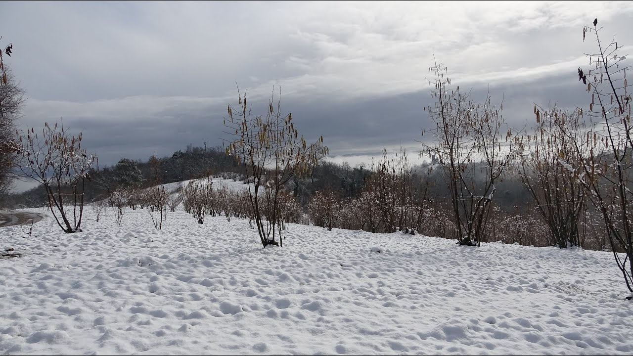SURREALI PAESAGGI INNEVATI NEL ROERO