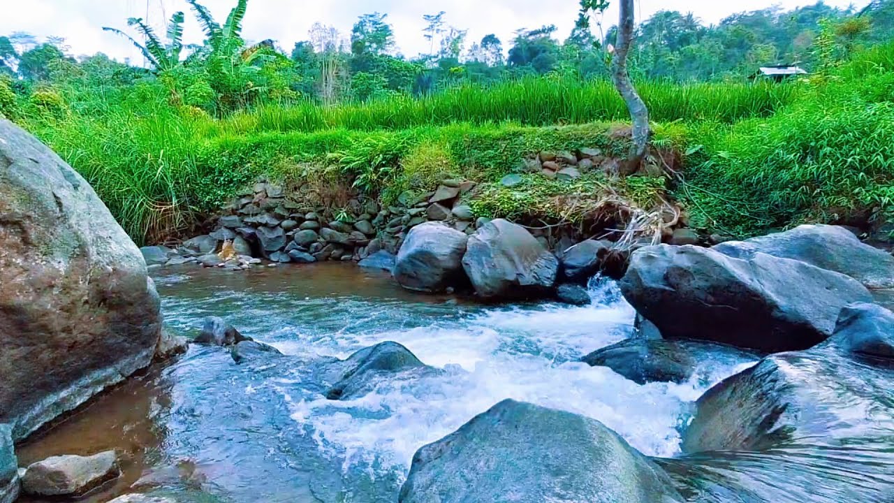River Sounds for Deep Night Calm