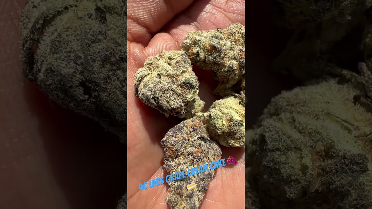 4c labs grape cream cake uk medical 🍇 🍰 #uk #medical #patient #youtubeshorts