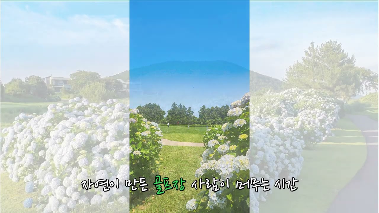 신들의 정원 제주 사이프러스 골프앤리조트에서 휴식과 힐링을 동시에 잡으세요.