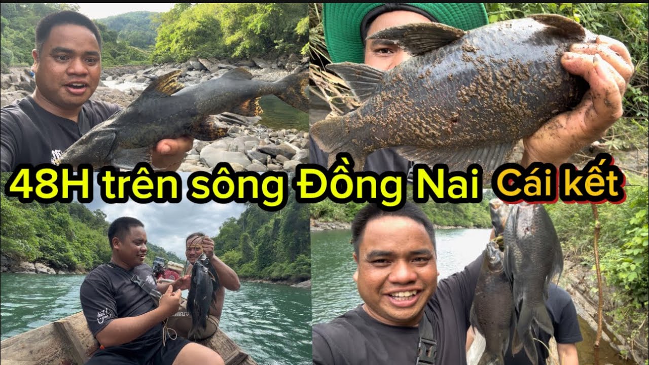 Phần 3 : Cái Kết Sau 48h Đi săn con cá Éc và thủy quái Trên Sông Đồng Nai