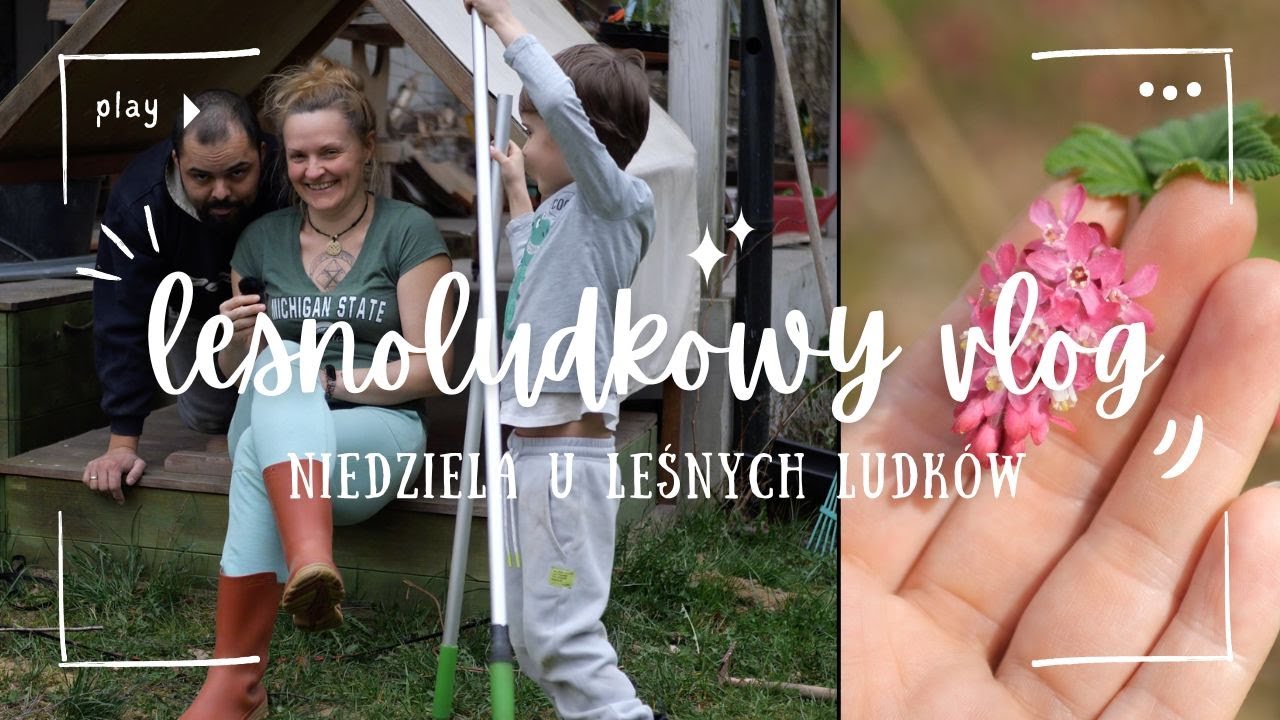 Spokojny dzień w leśnym ogrodzie [Leśnoludkowy vlog ep. 11]