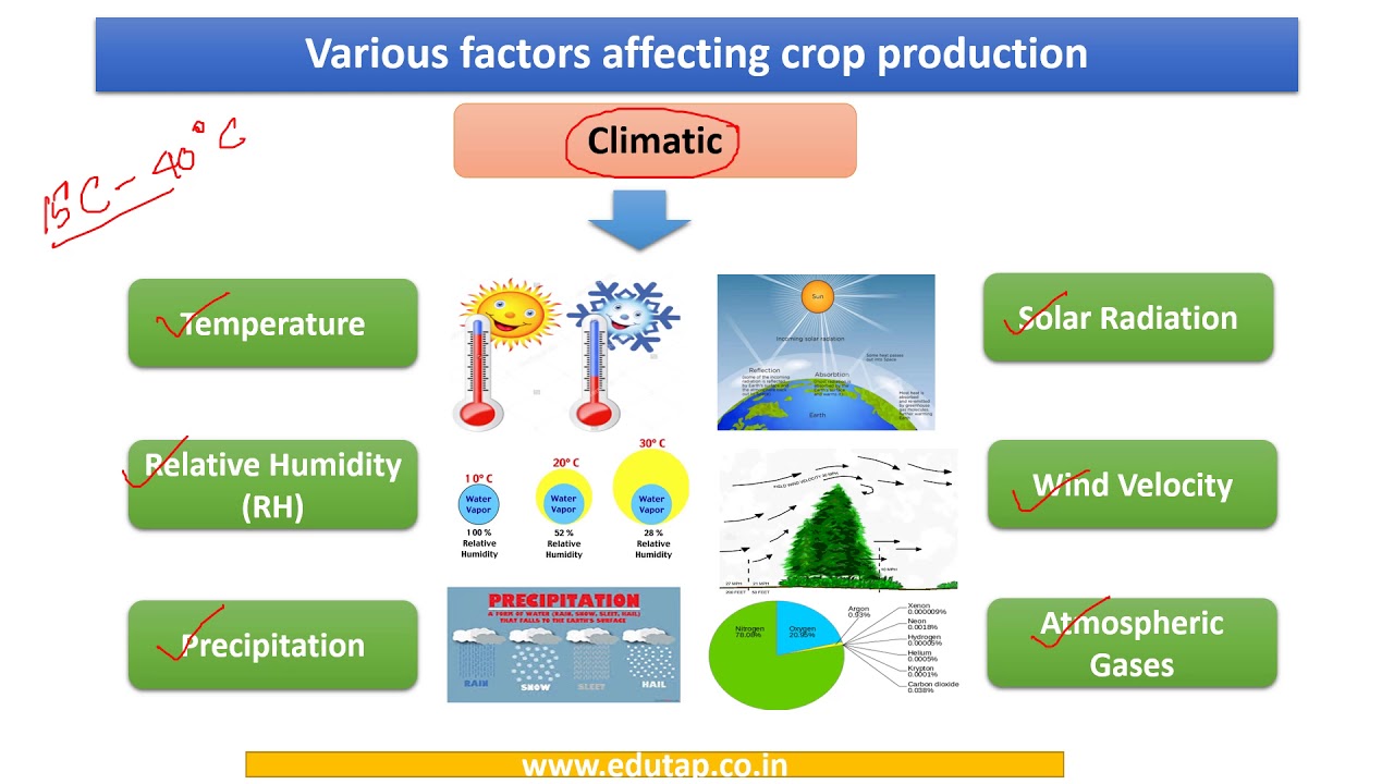Lecture 6 - Factors affecting crop production explained for NABARD, AFO, FCI examination