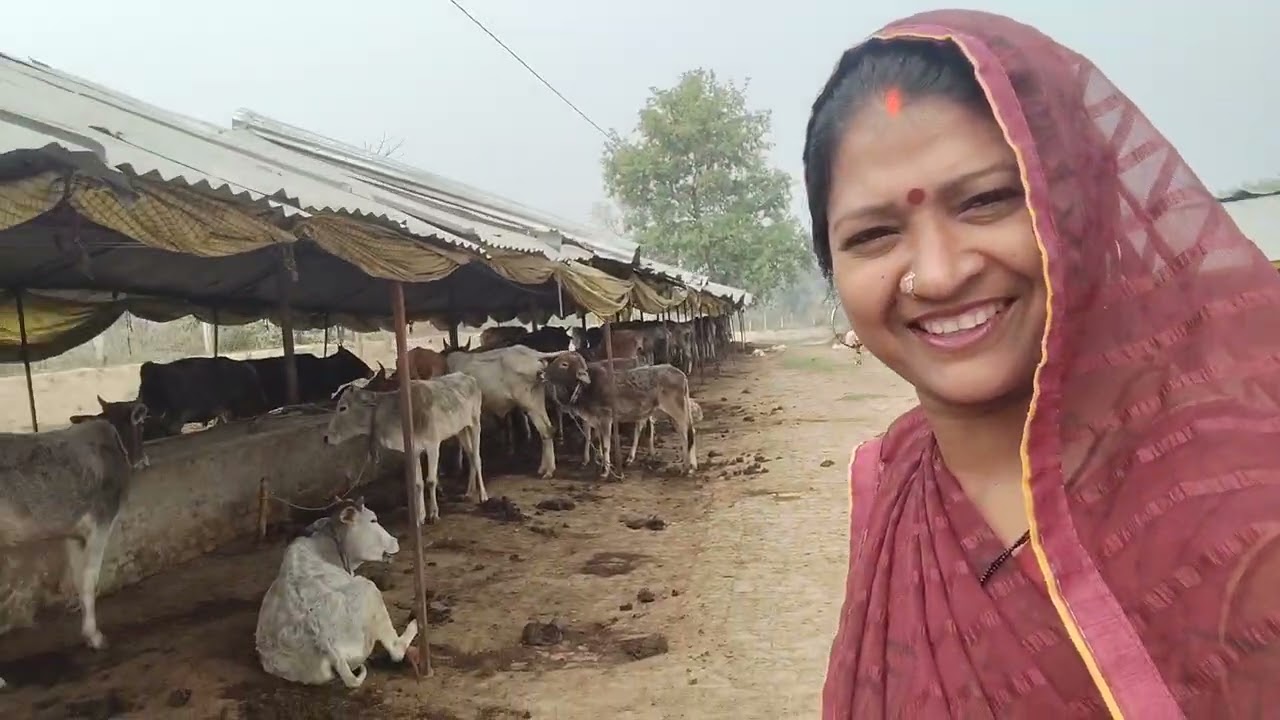 दोस्तों आज का हमारा ब्लाग वीडियो आप लोगों जरूर देखें 👌🙏 पूनम कुमारी 0789
