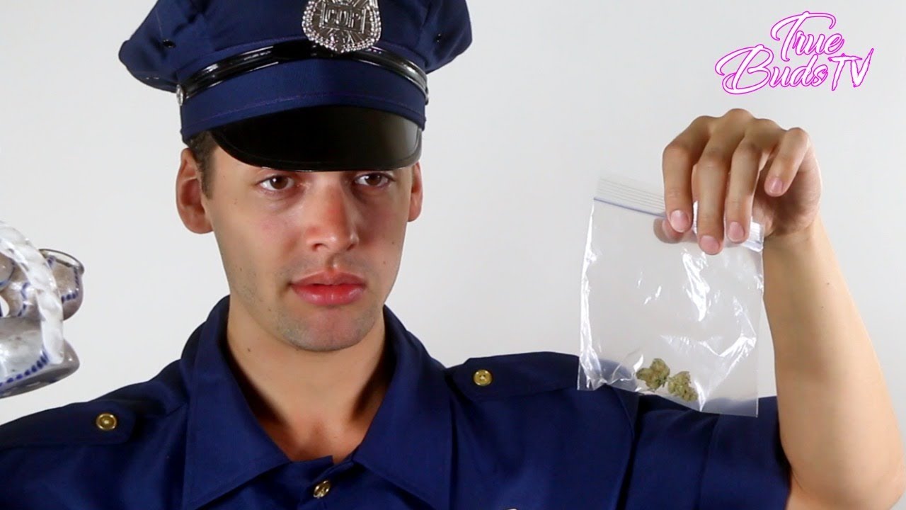 If Jeff Sessions Got Caught With Marijuana: Stoner Comedy