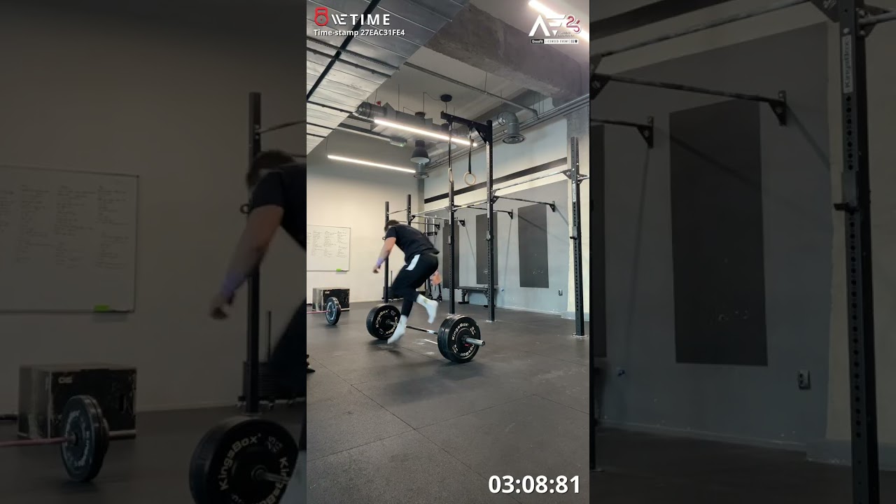 26.1