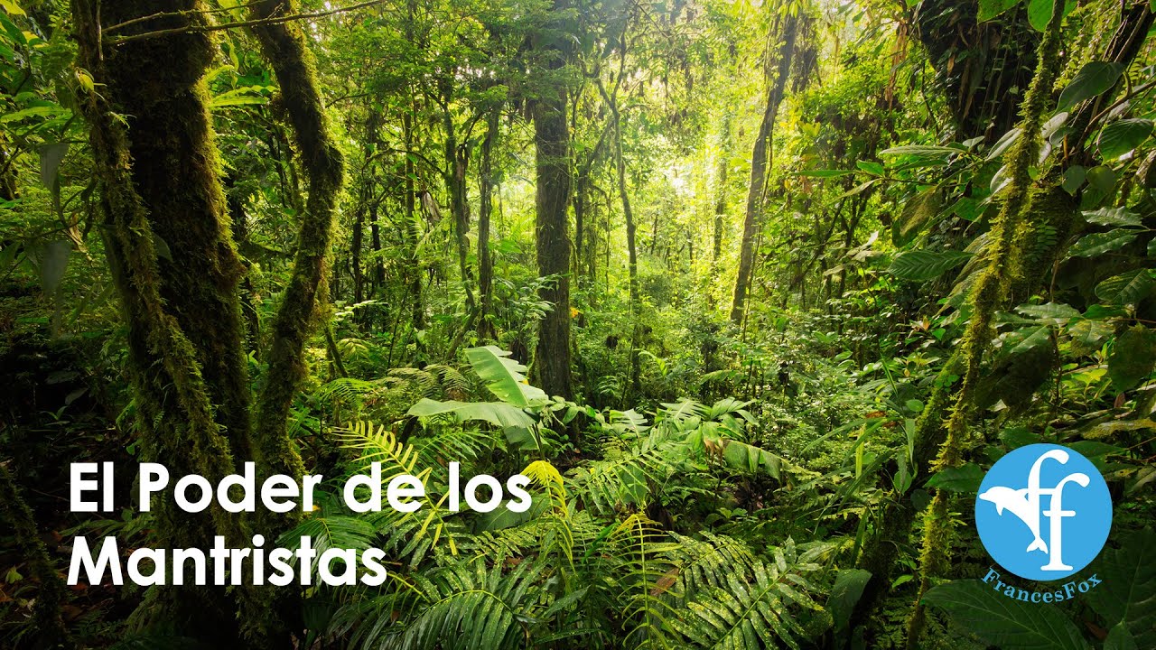Sana el Mundo con la musica El Poder de los Mantristas con el mapa del mundo