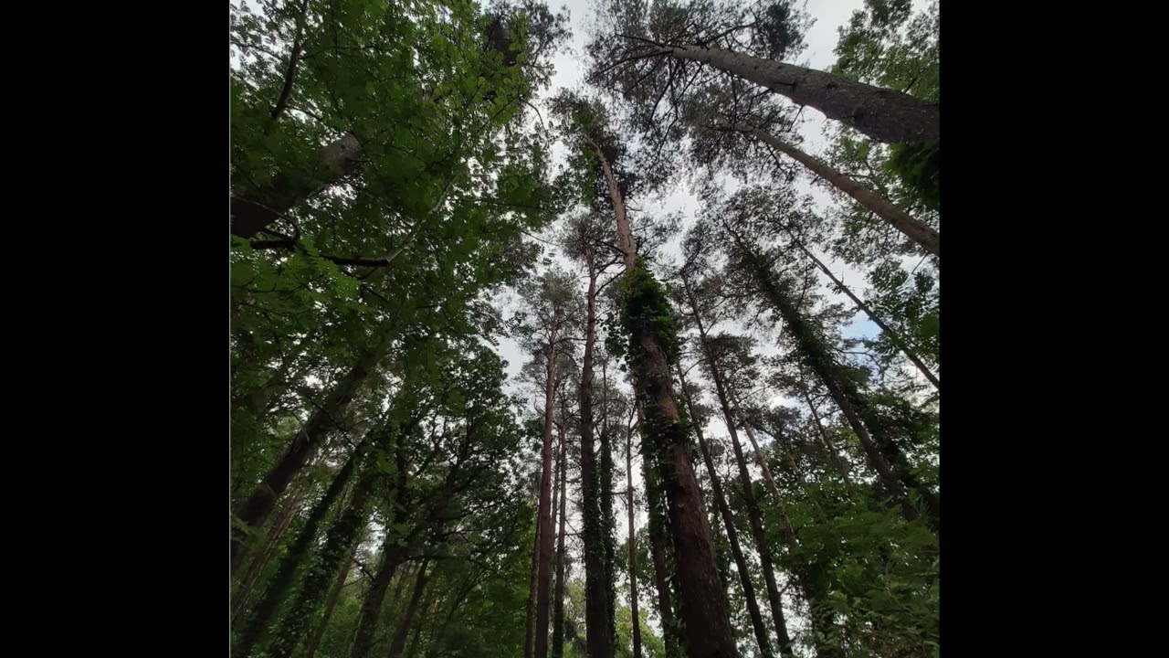 Paolo Ugoletti - Ballata (1988)