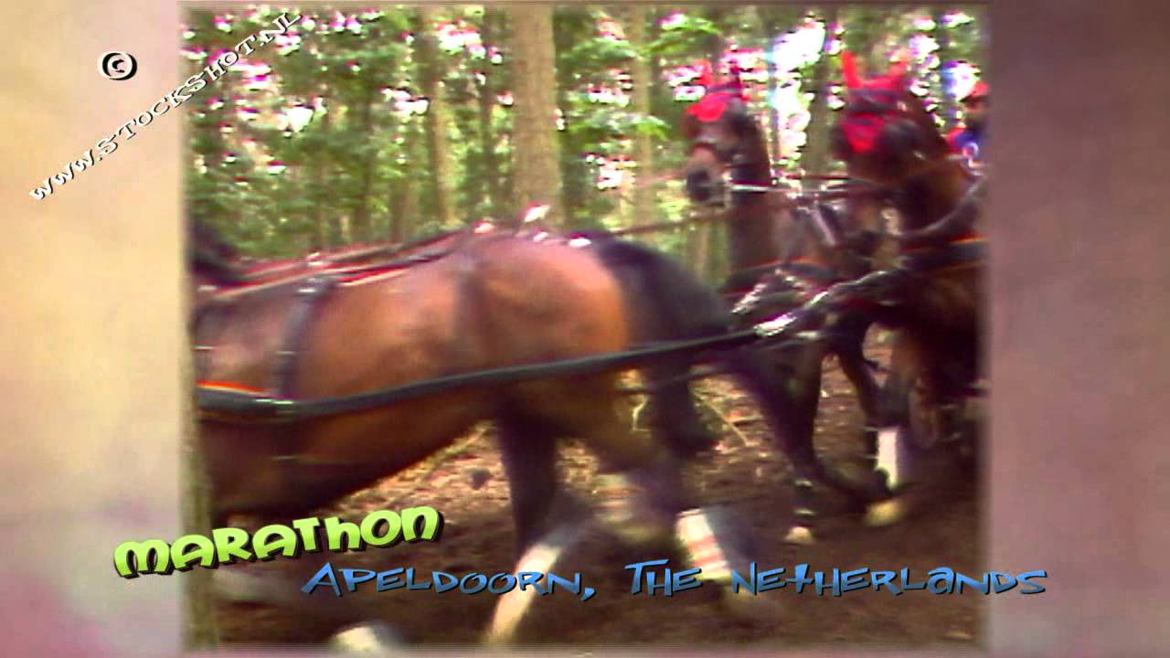 Marathon vierspan (1988)