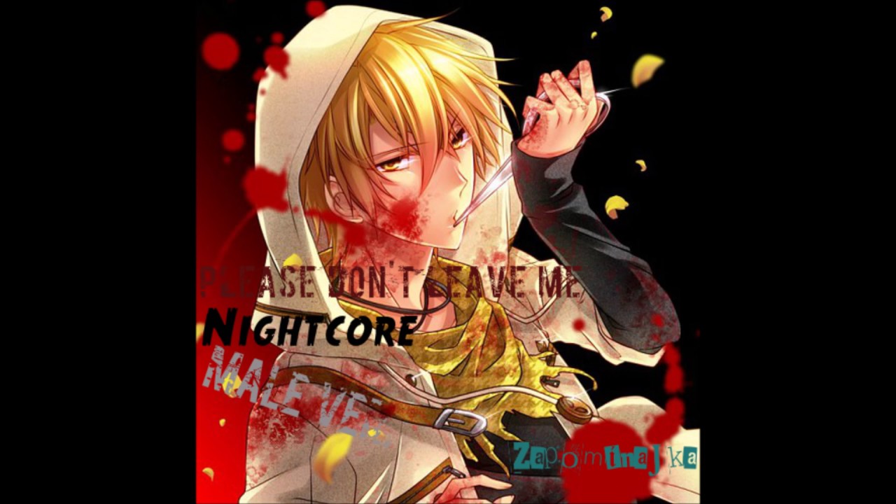 Nightcore Male ver. - Please Don't Leave me