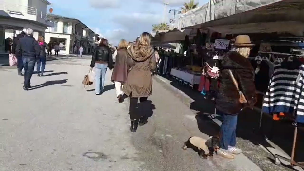 La ciudad se prepara para el Carnaval/ Jueves de Mercado en el centro 🥰