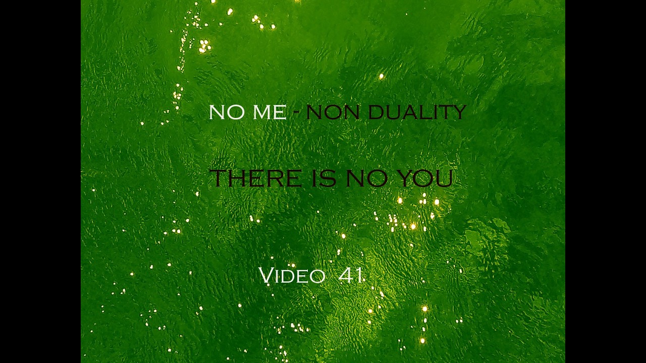 There is no you (v.41, no me-non duality) #nonduality #nottwo #liberation #advaita