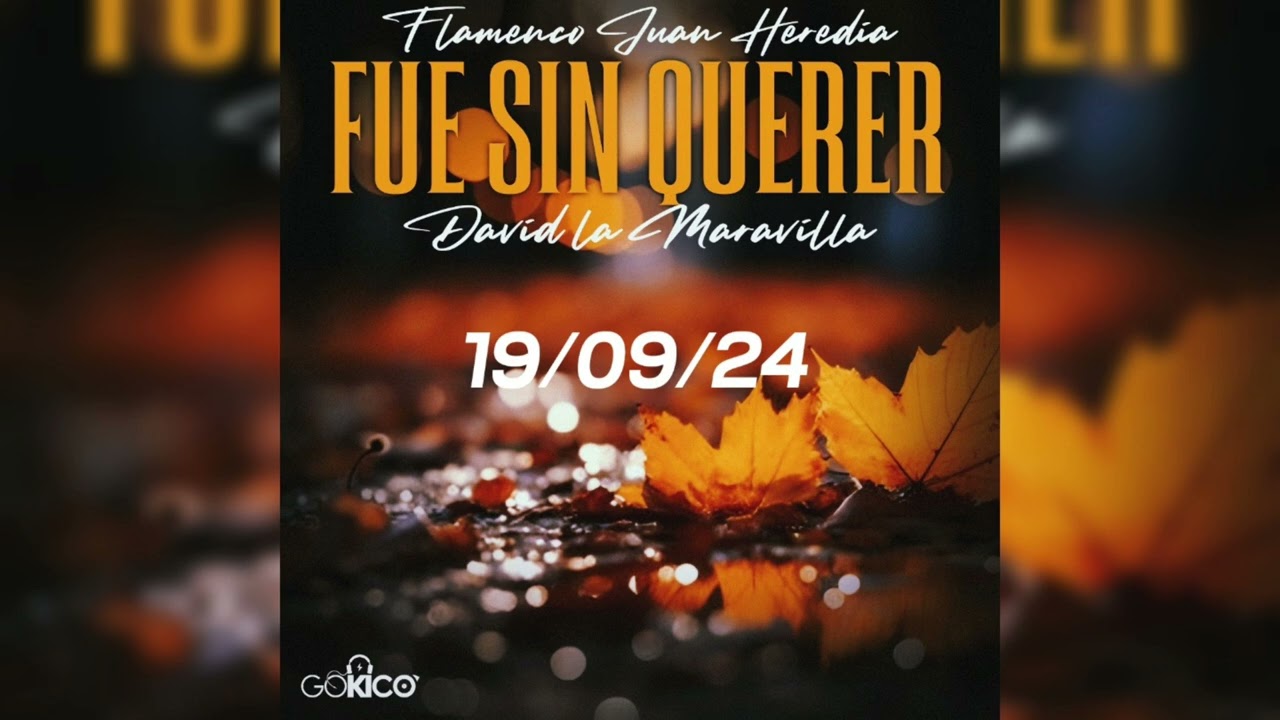 David La Maravilla - Fue Sin Querer 