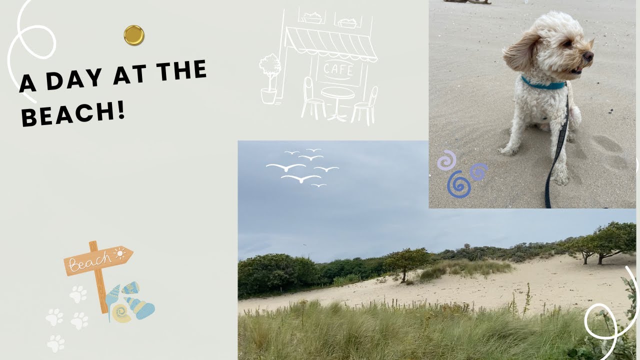 A Day At The Beach!