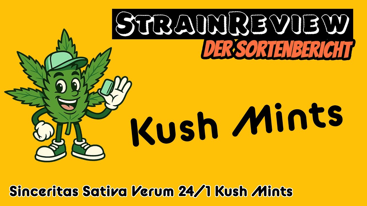 Der medizinische Sortenbericht - Sinceritas Sativa Verum 24/1 Kush Mints