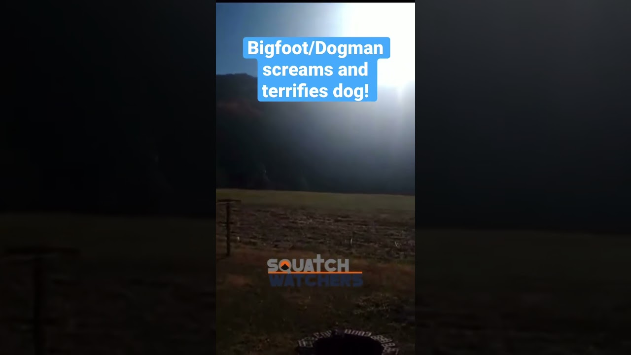 Bigfoot/Dogman Screams Terrify Owner&rsquo;s Dog!