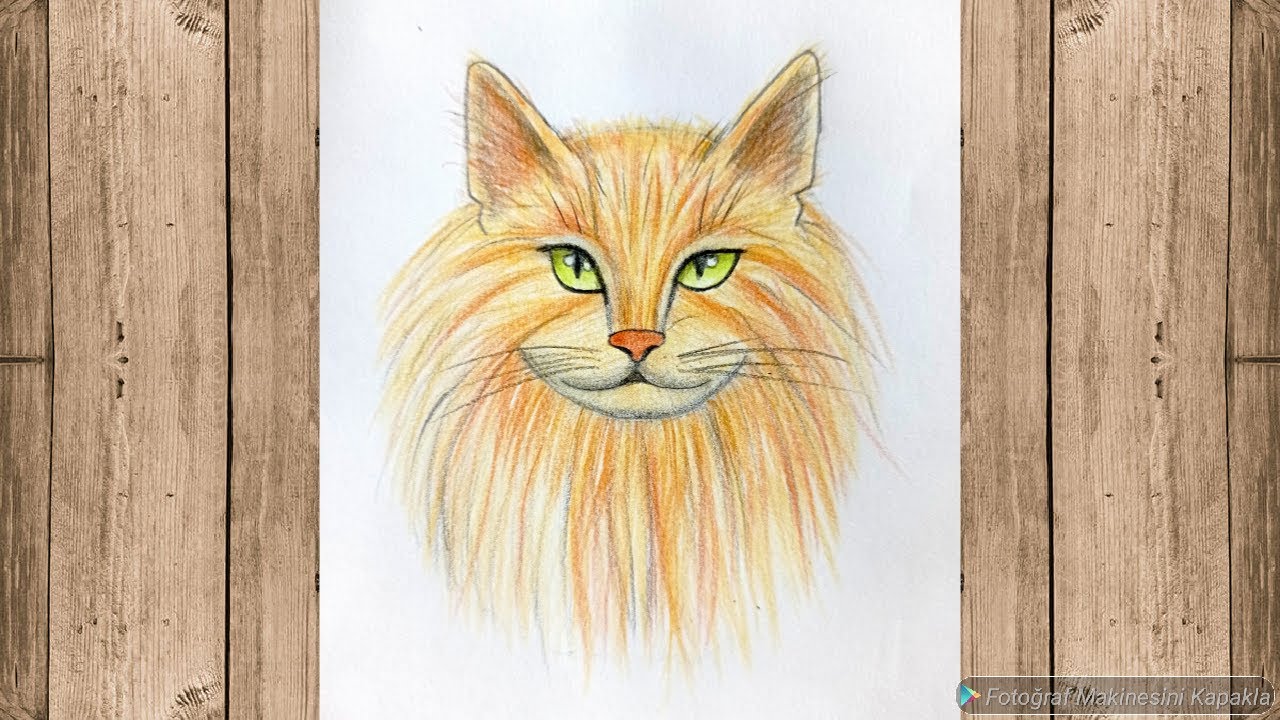 Tüylü kedi çizimi ✍️ How to draw a Cat ❤️ Adım adım kedi çizimi ve boyama teknikleri