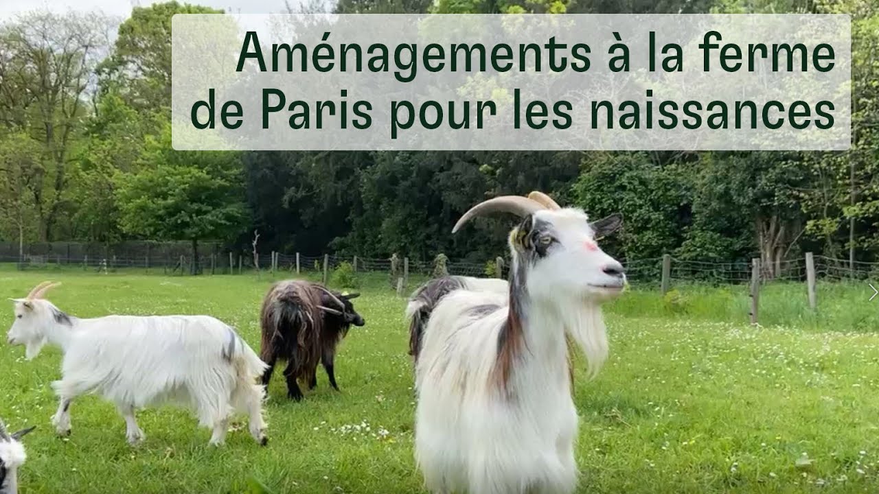 Am&eacute;nagements &agrave; la ferme de Paris pour les naissances
